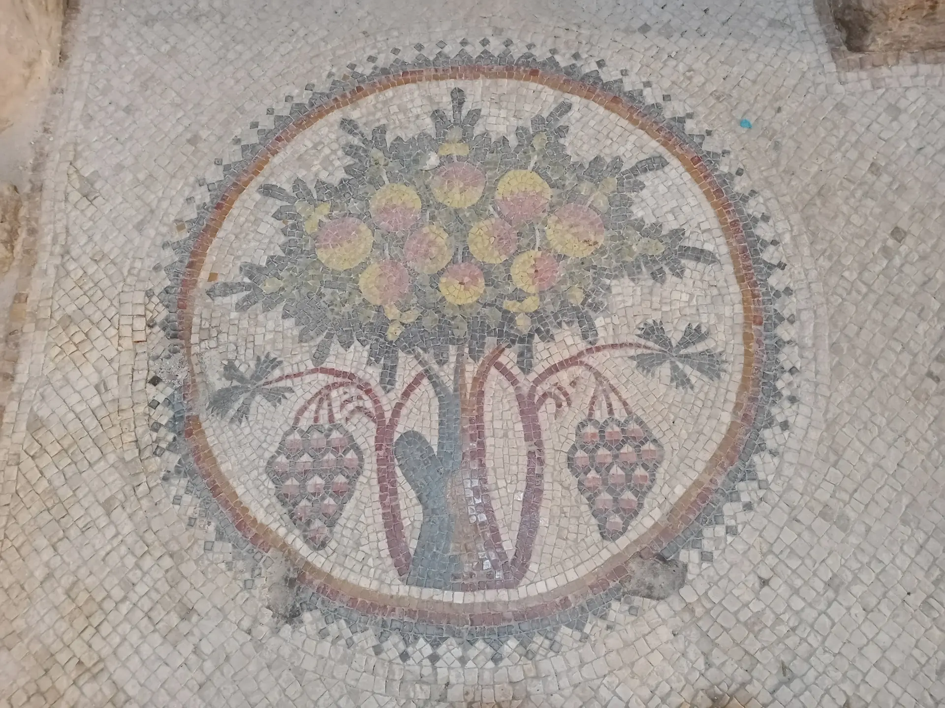 Mosaic Madaba Archaeological Park Jordan